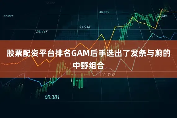 股票配资平台排名GAM后手选出了发条与蔚的中野组合